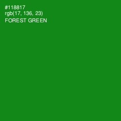 #118817 - Forest Green Color Image